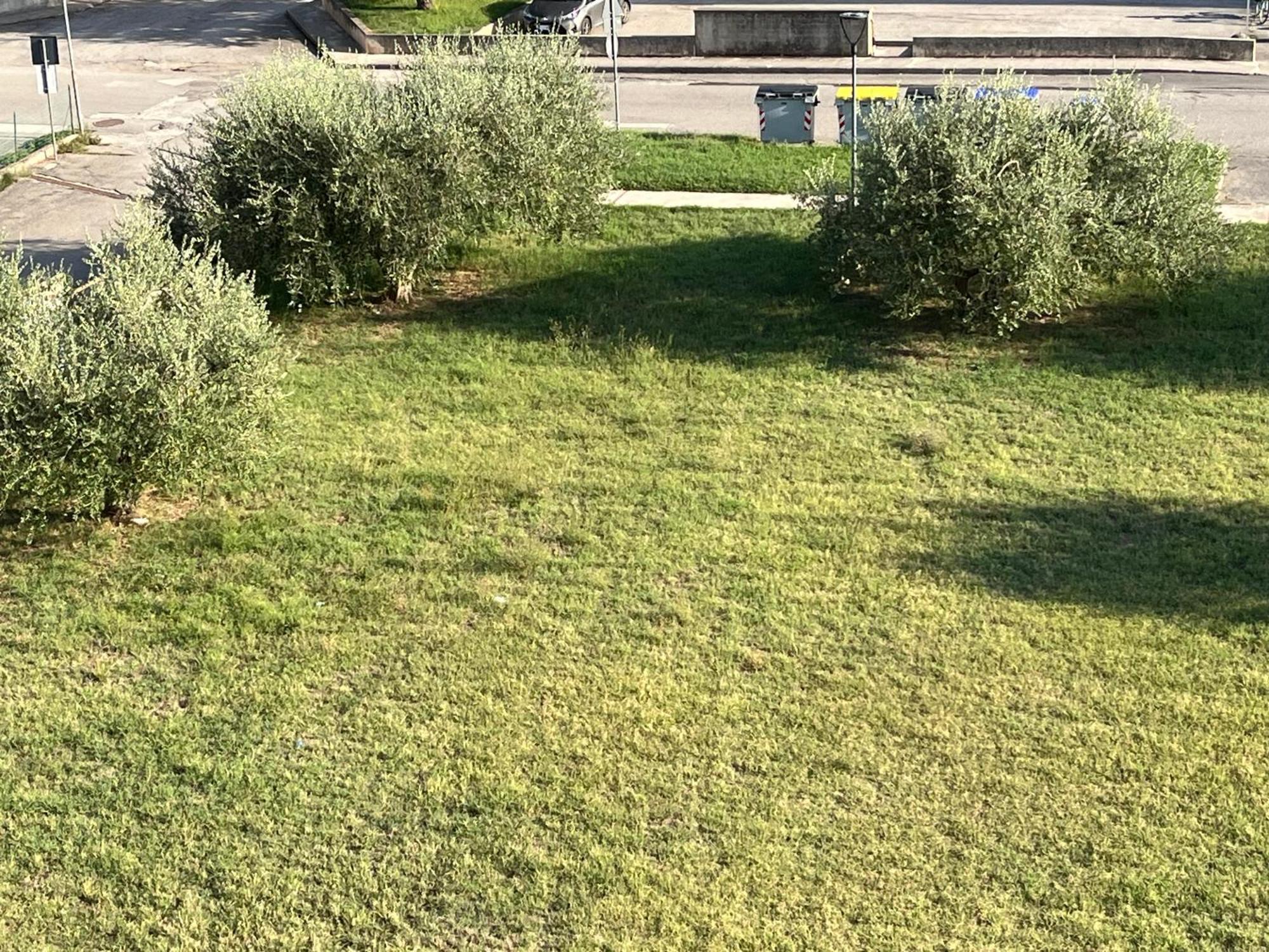 Casa Ivana Castiglione del Lago Dış mekan fotoğraf